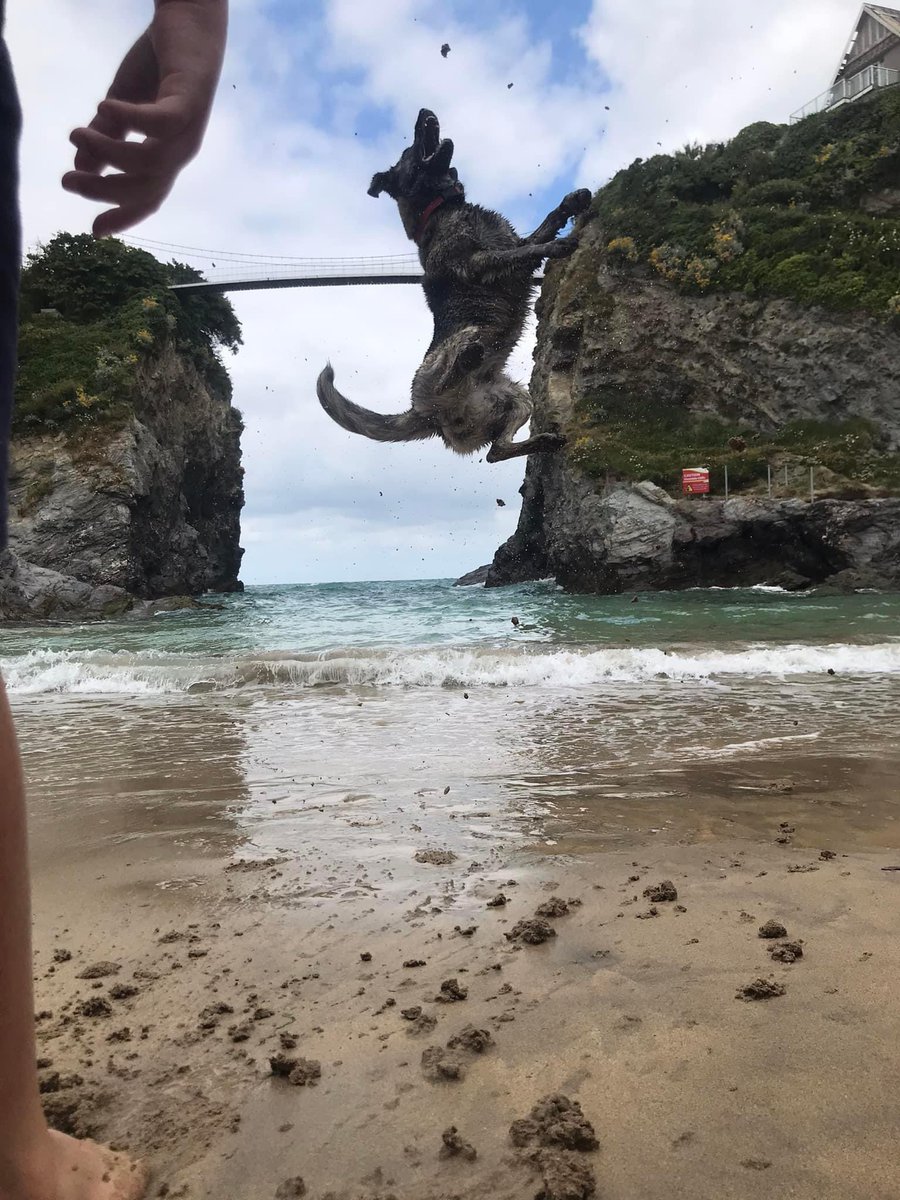 dundonradio's tweet image. DOGZILLA IN NEWQUAY?

We speak to Paul Nix who loves to create optical illusions with his dog next on the show @BBCCornwall