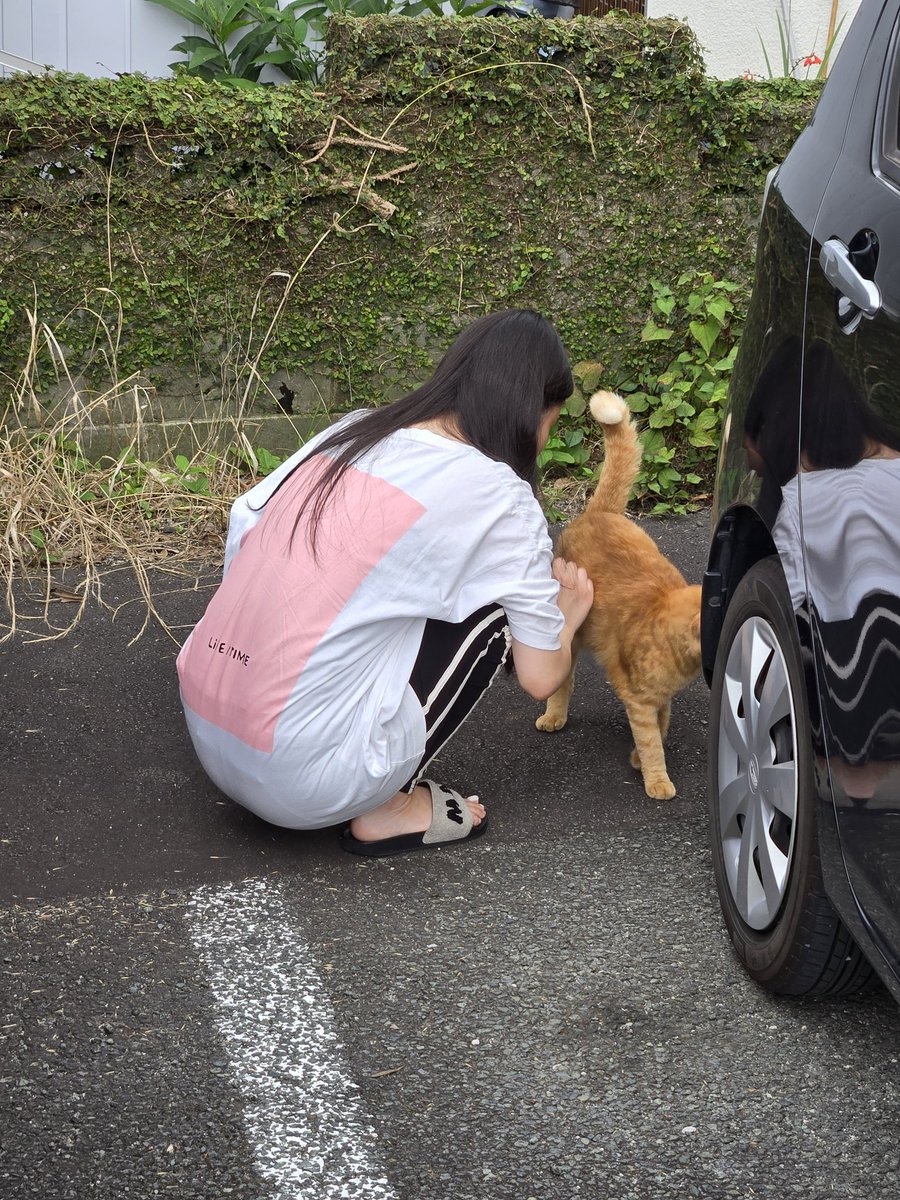 splcrew_sin's tweet photo. かわいい🥰 https://t.co/C3FRP6QfFm