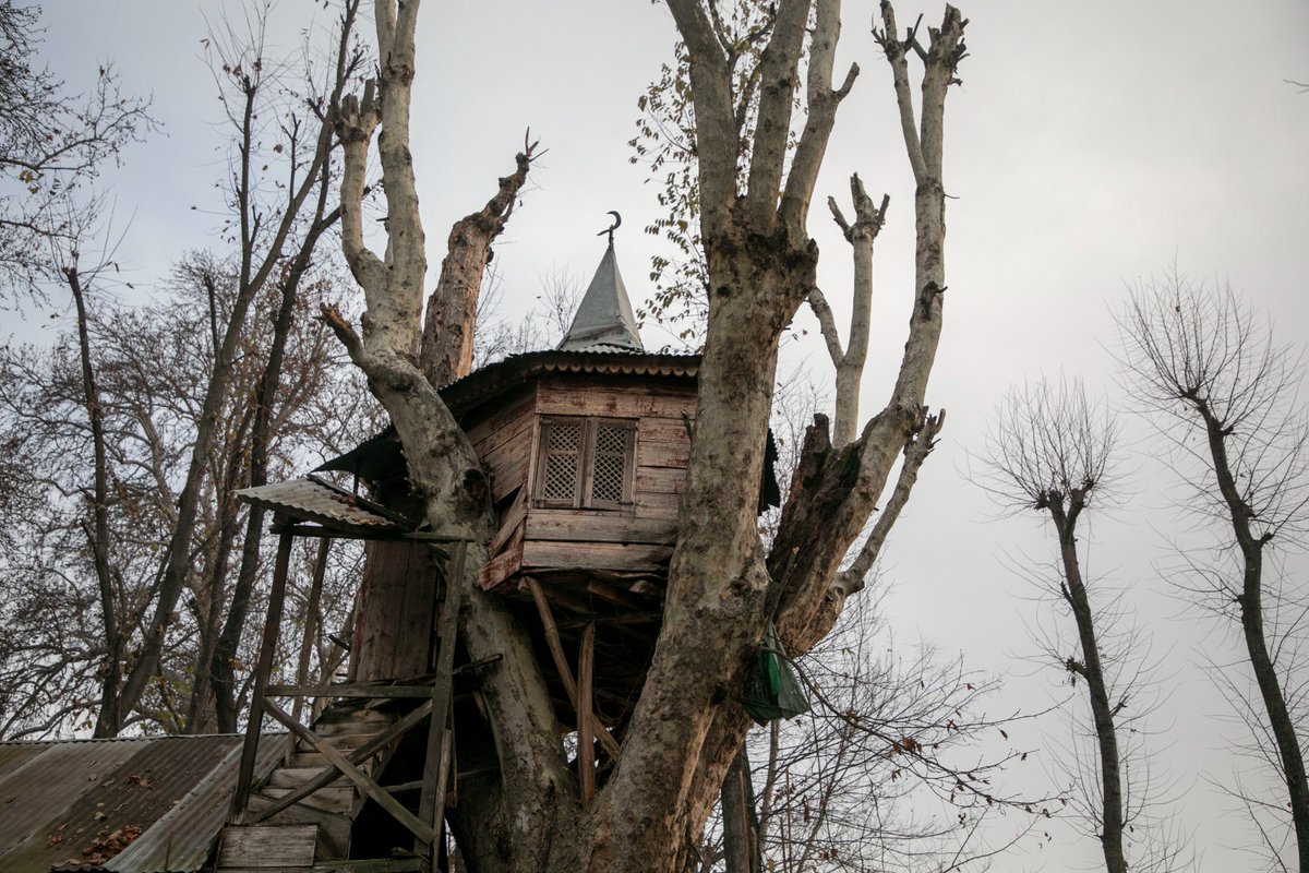 A unique shrine atop a tree has attracted many devotees over the years.
