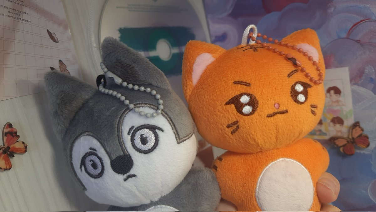 These cuties recently arrived home 🤍
Thank u <a href="/justbibizeu/">저스트비비즈</a> ✨️
