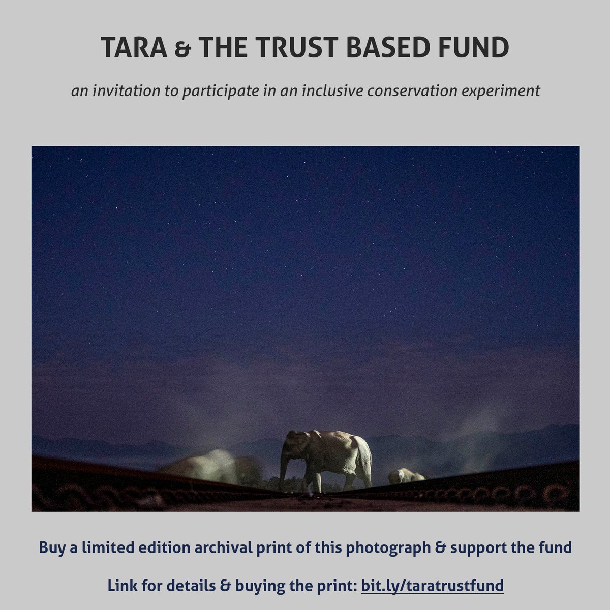 sidagarwal's tweet photo. 🧵1/5

🐘 Tara - tara - tara &amp; a trust based conservation experiment. Photography, conservation &amp; you unite! 

🍃  @kamdararjun &amp; I are excited to invite you to participate in this conservation experiment with us!

🔗 https://t.co/J9EyfuOWLk 
✨Please participate &amp; share / RT https://t.co/EpjkmhDDVT