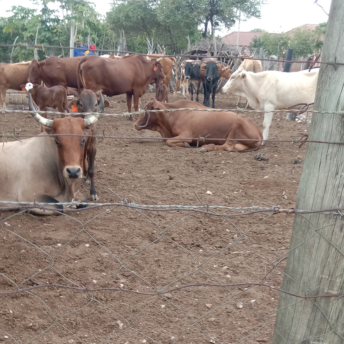 JobMacks's tweet image. #NewProfilePic