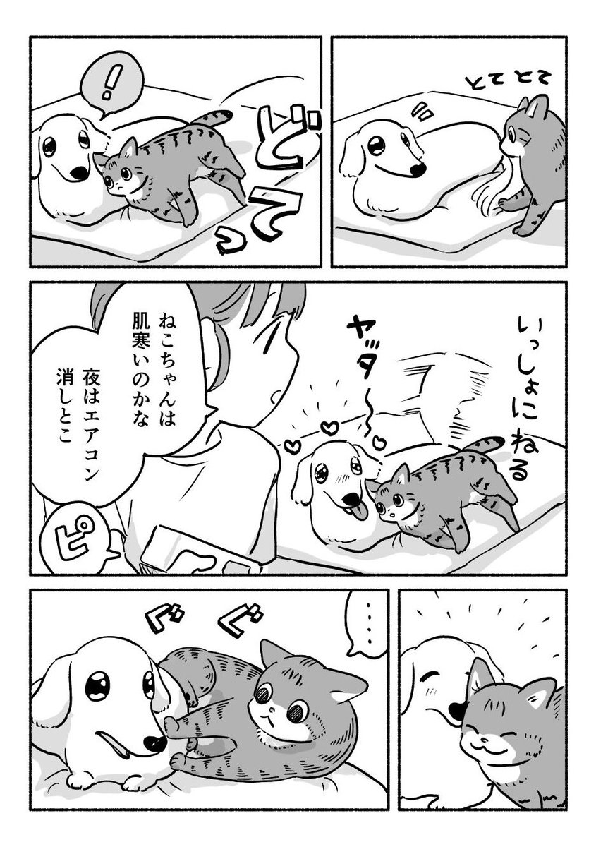 モンプチ☆猫ちゃんご飯＆スープ＆お菓子セット！