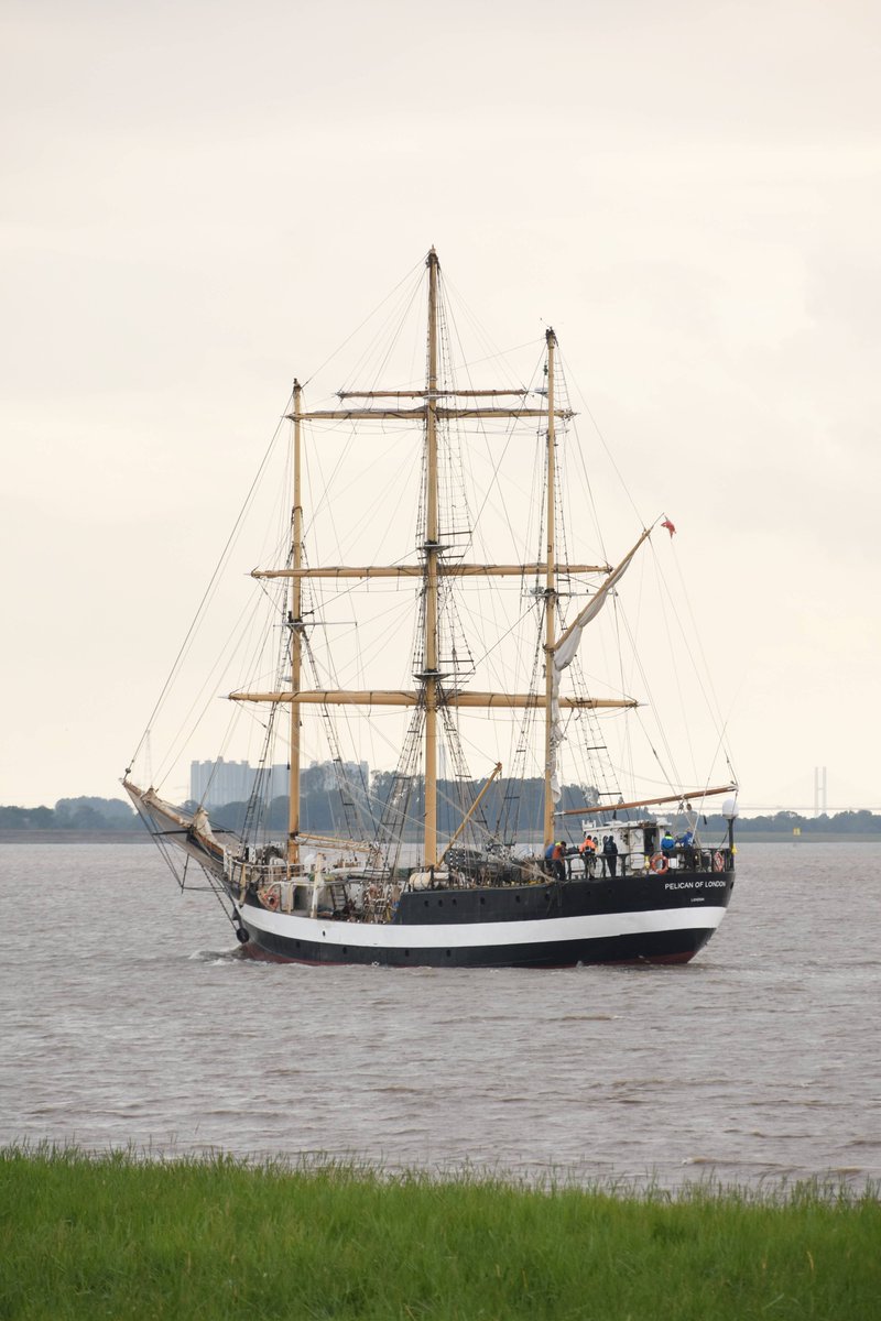 sharpnessmike's tweet image. Pelican of London outbound 3/7/24