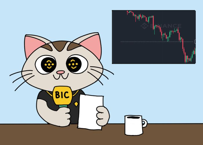bicoin_onbnb's tweet photo. GM, $BTC, $ETH, $SOL and $BNB holders.
 
We can see there is a beautiful crash today.
Don’t panic! You know what’s NEXT… 
🐱😈 Meme Coin Season! 

Welcome to BIC community : https://t.co/v7G9AGix3A

We believe in #BNB , #CZ and #MEMES
We'll be the BIC meme coin on BNB Chain🔥

#BelieveorNot