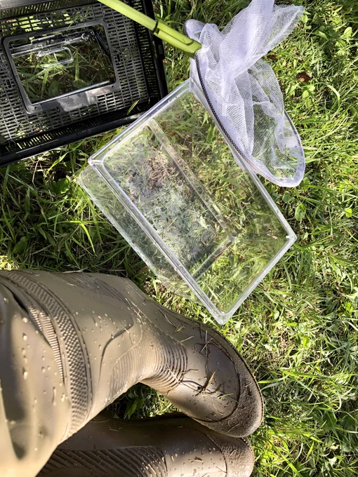 そして本日もエビしか採れませんでしたツナギまで着たのにな～(暑い)魚いるのにな～エビは家に沢山いるのでリリース そして自然に映えるゴカムビールカッコイイ!
