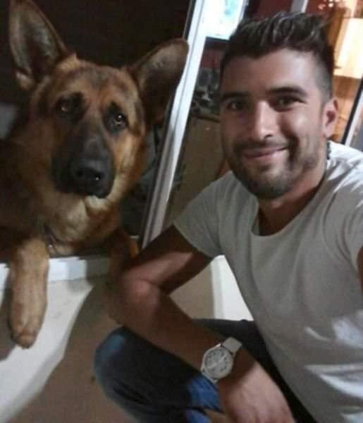 Tweets of Dogs tweet media