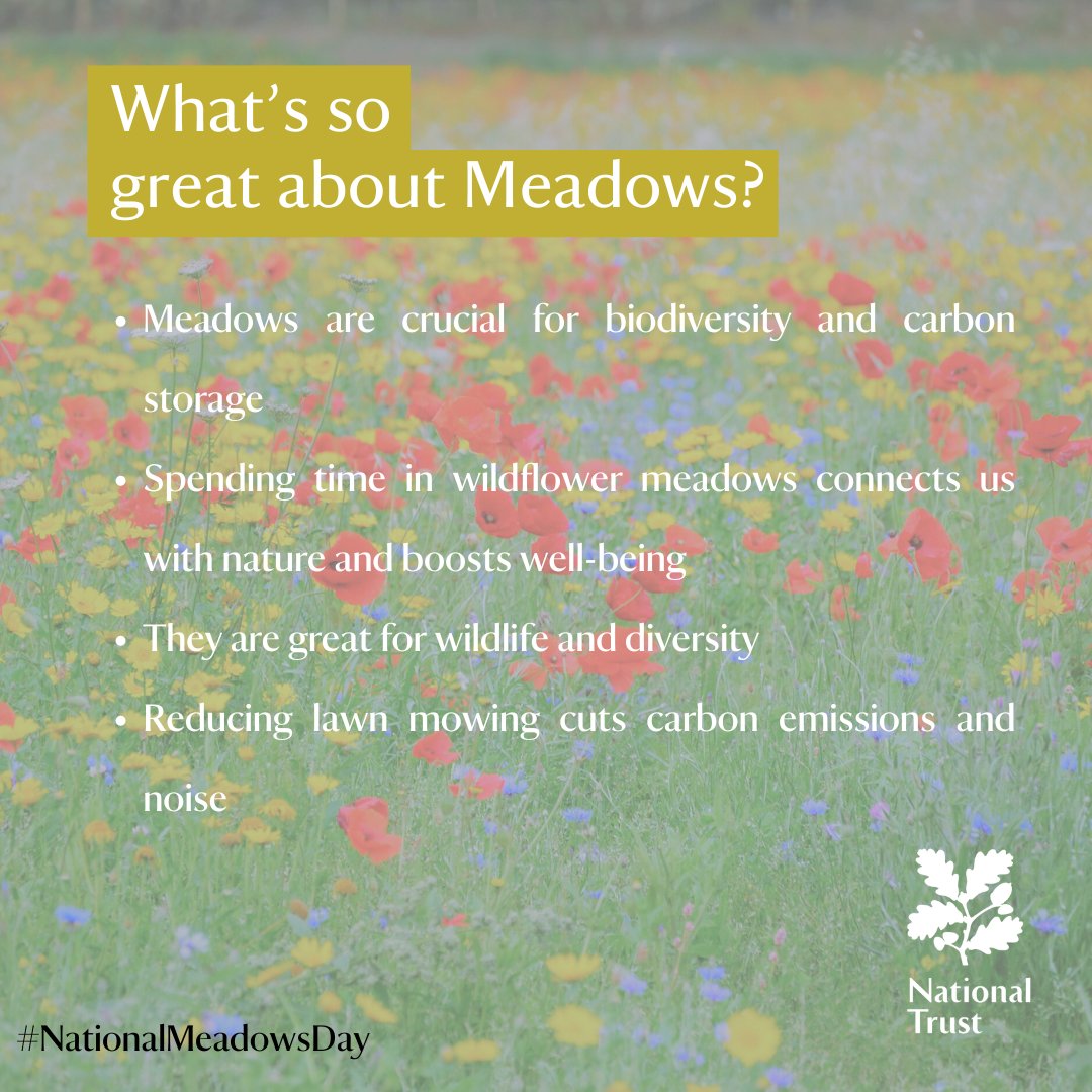 NationalTrustNI's tweet photo. Itโs #NationalMeadowDay! As avid supporters of @PollinatorPlan @PoMScheme, weโve restored & created 175 hectares of meadow. Thanks to @daera_ni Environment Fund Strategic Strand for making it possible! Swipe for more info. #Biodiversity #pollinatorplan @Love_plants https://t.co/1BMHhmk04y