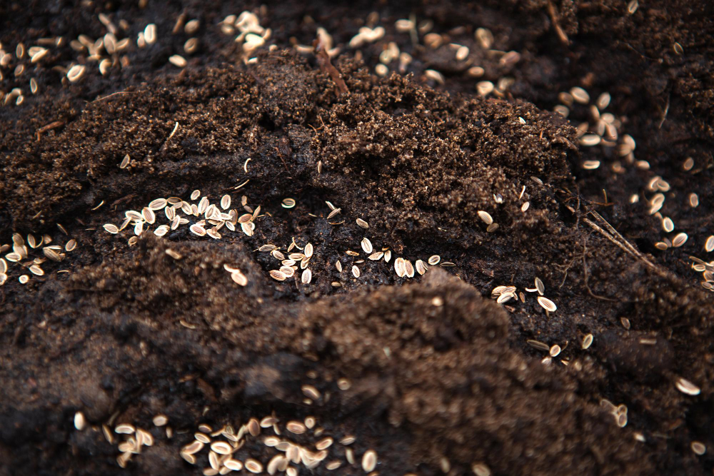 Soil amendments are anything added to soil to improve its physical properties, such as drainage ability or fertility. Soil amendments improve nutrient retention in water in the best possible form for plant usage.
#GardeningX #GardeningTwitter #plants #soilhealth #gardeningtips
