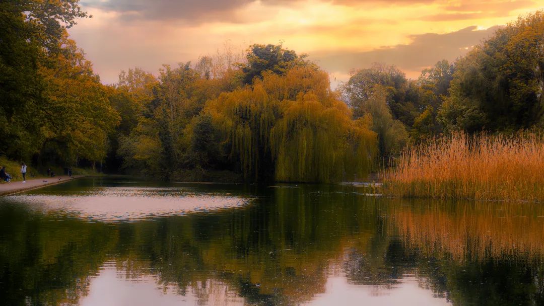 Lovin Dublin tweet media