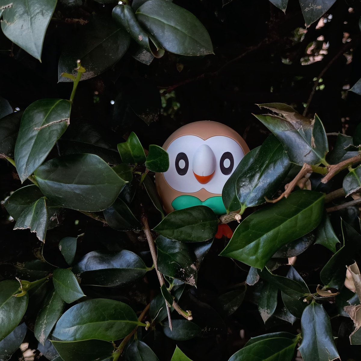 LeBron Fett tweet media