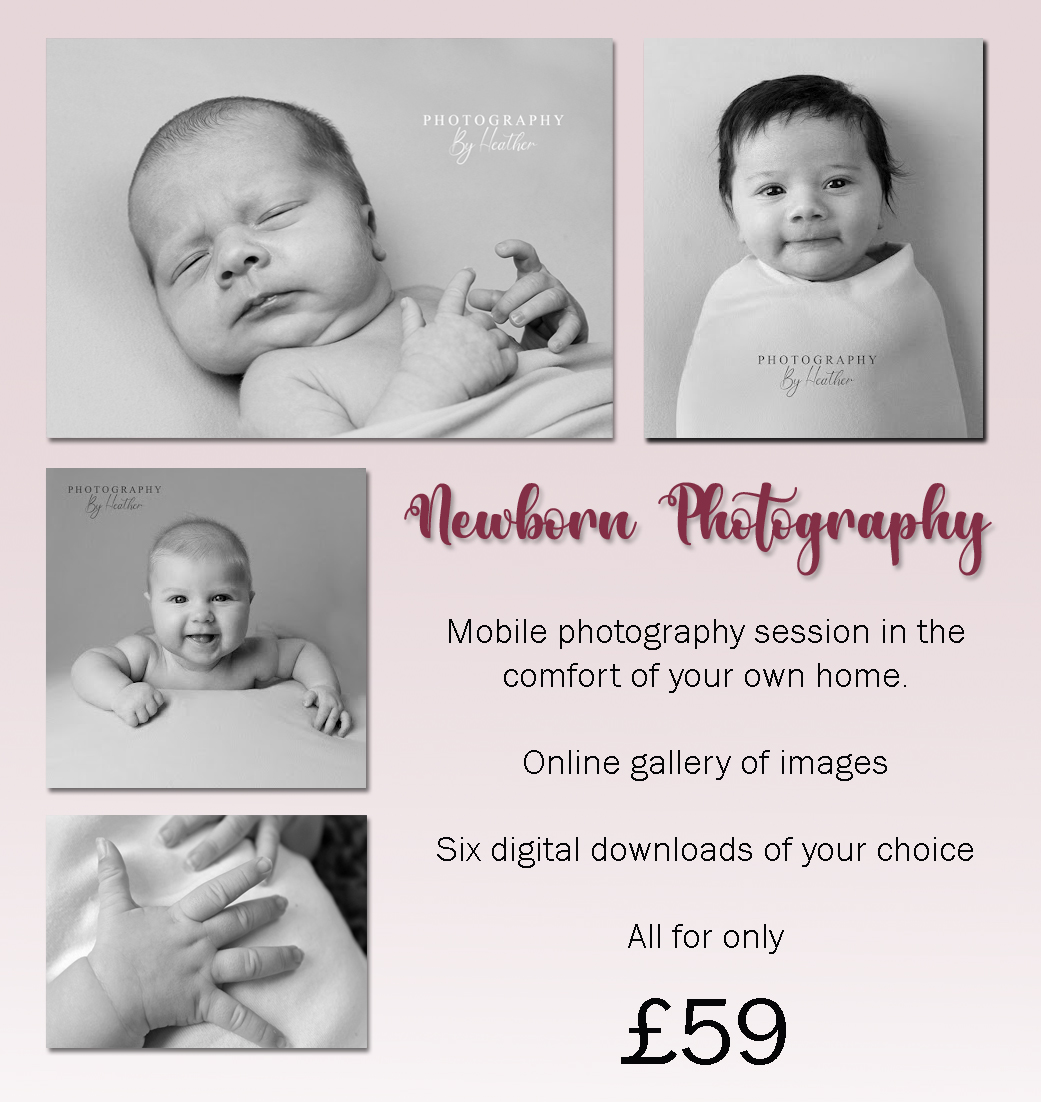 hcpsafc's tweet image. Available in #Peterlee and surrounding areas 🥰
#photography #photographer #durham #easington #horden