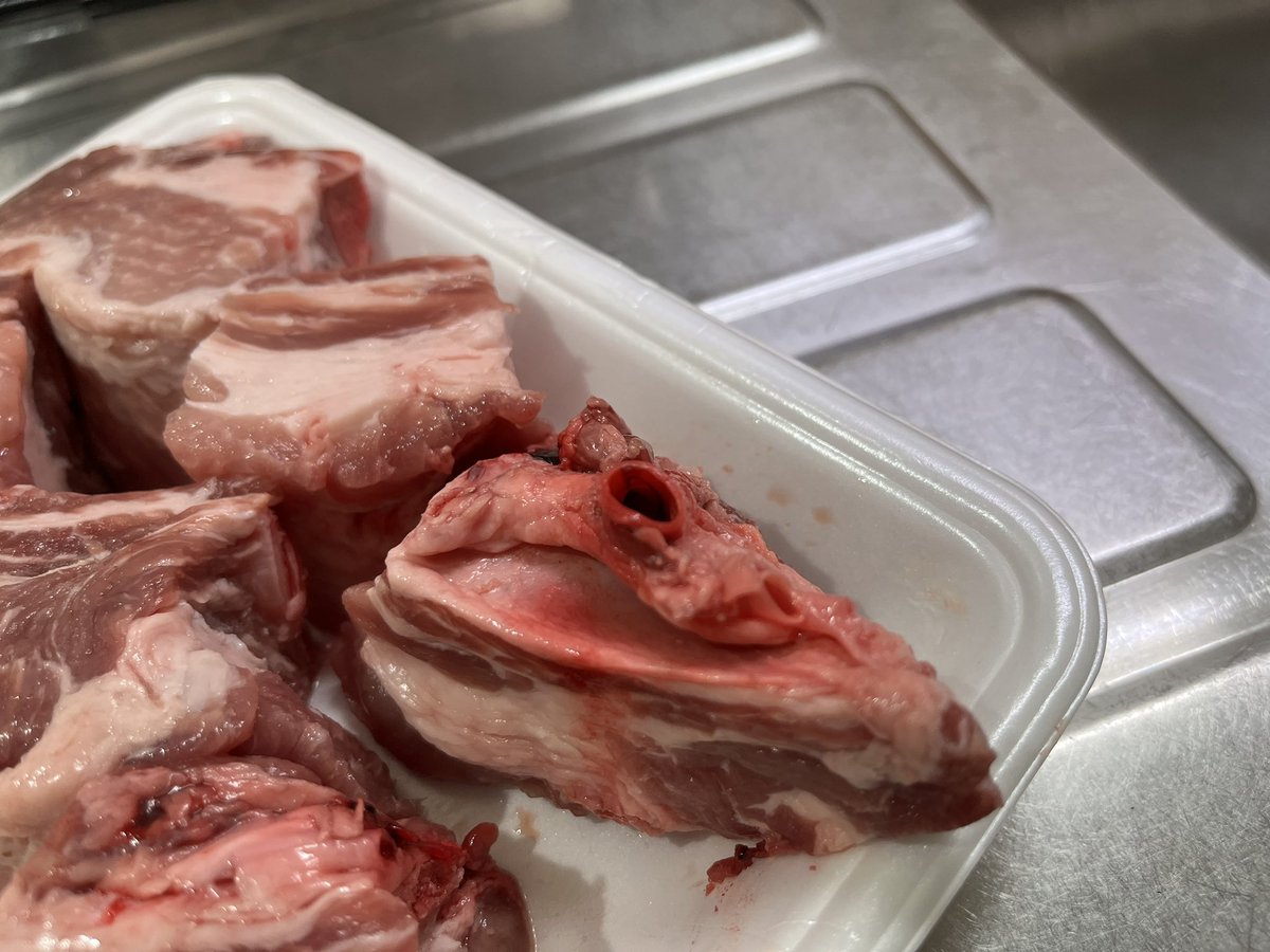 スペアリブ用の肉についていたこの部位なんだろ？肋骨の真裏だけど血管？