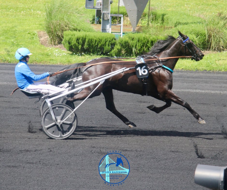 🗓️ SAMEDI 6 JUILLET
📍 Enghien

🐴 501 Faucon de l’Alba (🧤 Y.Lebourgeois)

« Il faut se sortir de ce numéro piège mais le cheval est en forme ! »

🐴 905 Jade de Castelle (🧤 G.Martin)

« C’est une belle course. Sa dernière course est bonne et ses fers ne l’handicaperont pas. »