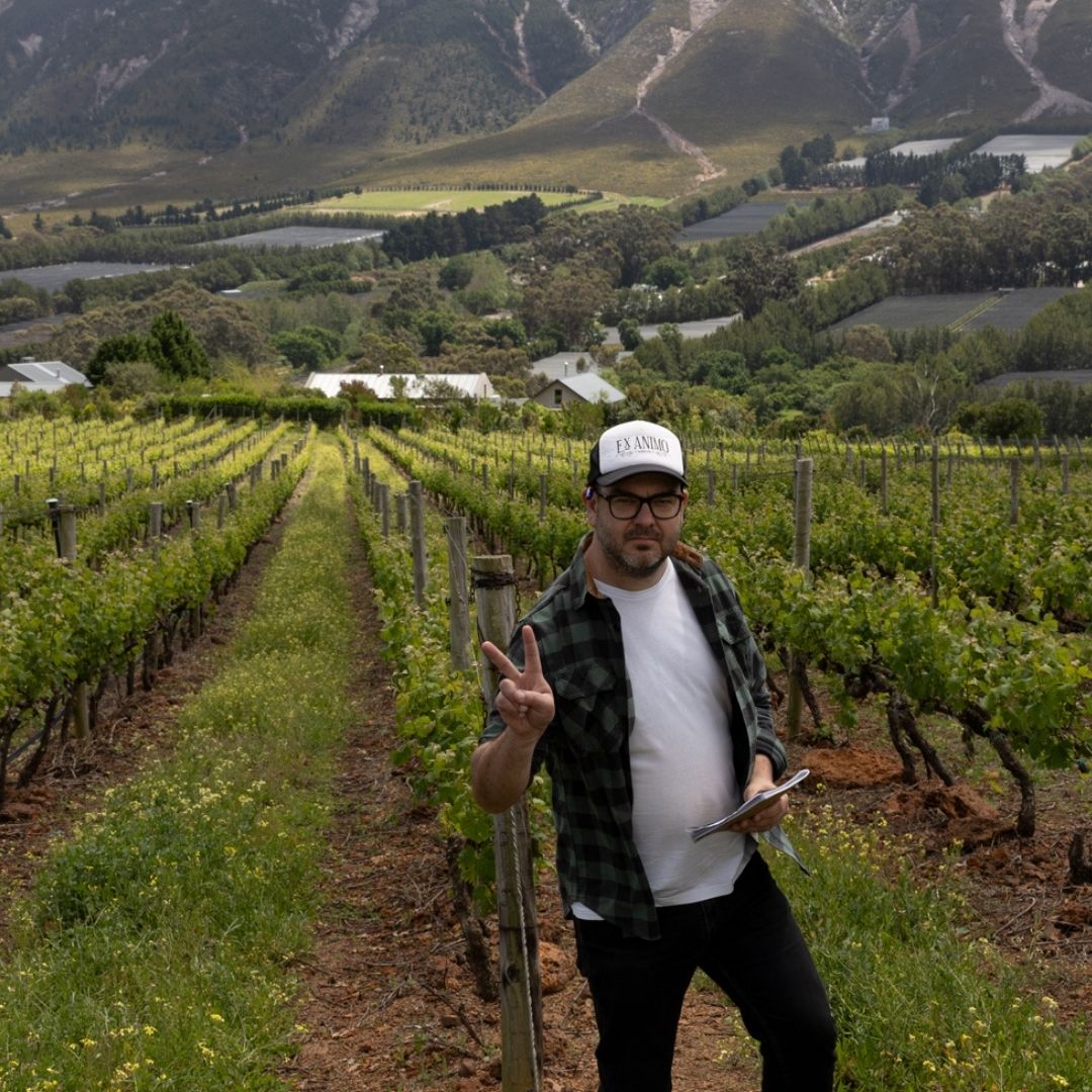 ExAnimoWineCo's tweet photo. Ex Animo Wine Co: putting the 'hemel' in Hemel-en-Aarde since 2014. #10years
This is David at @restlessriverwines, just checking in on the vines.
#exanimo #exanimowineco #winelover #winetime #winegeek #southafrica #capetownsouthafrica #capewine https://t.co/sYbigcXQ88