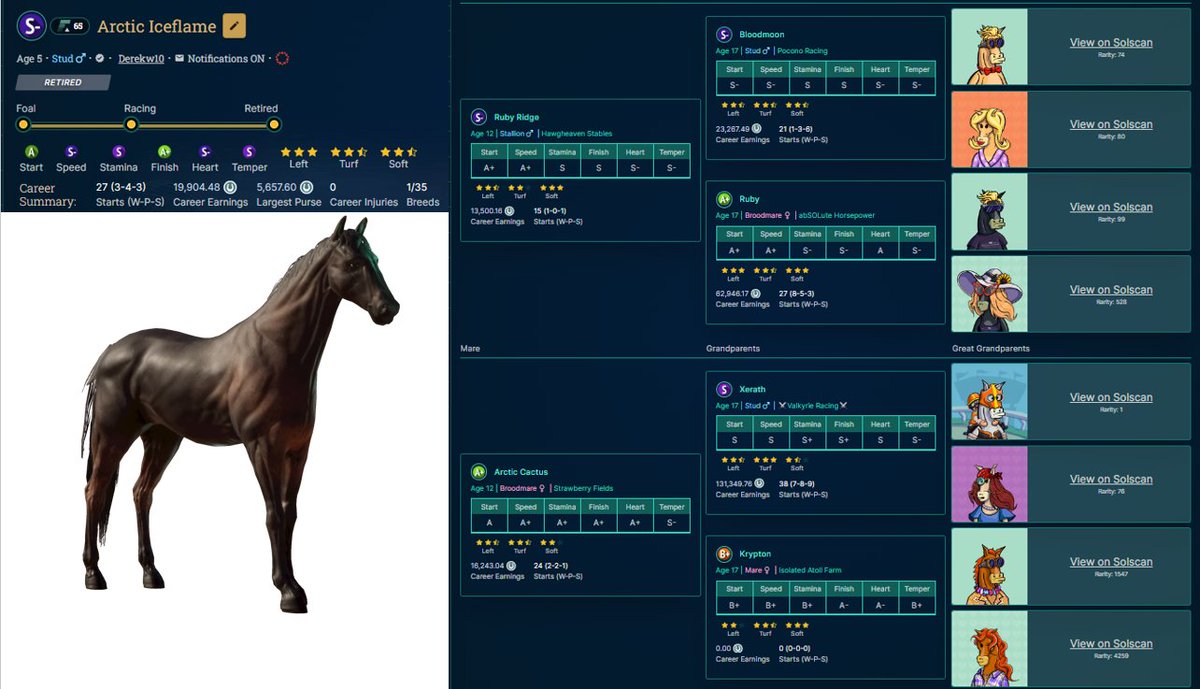 derekw10's tweet image. Looking to improve your preferences over LTS then Arctic Iceflame might be the answer, not many S- horses have S Temper and S Stamina with these preferences.

The only 1/1 blood in the bloodline is Jockey.