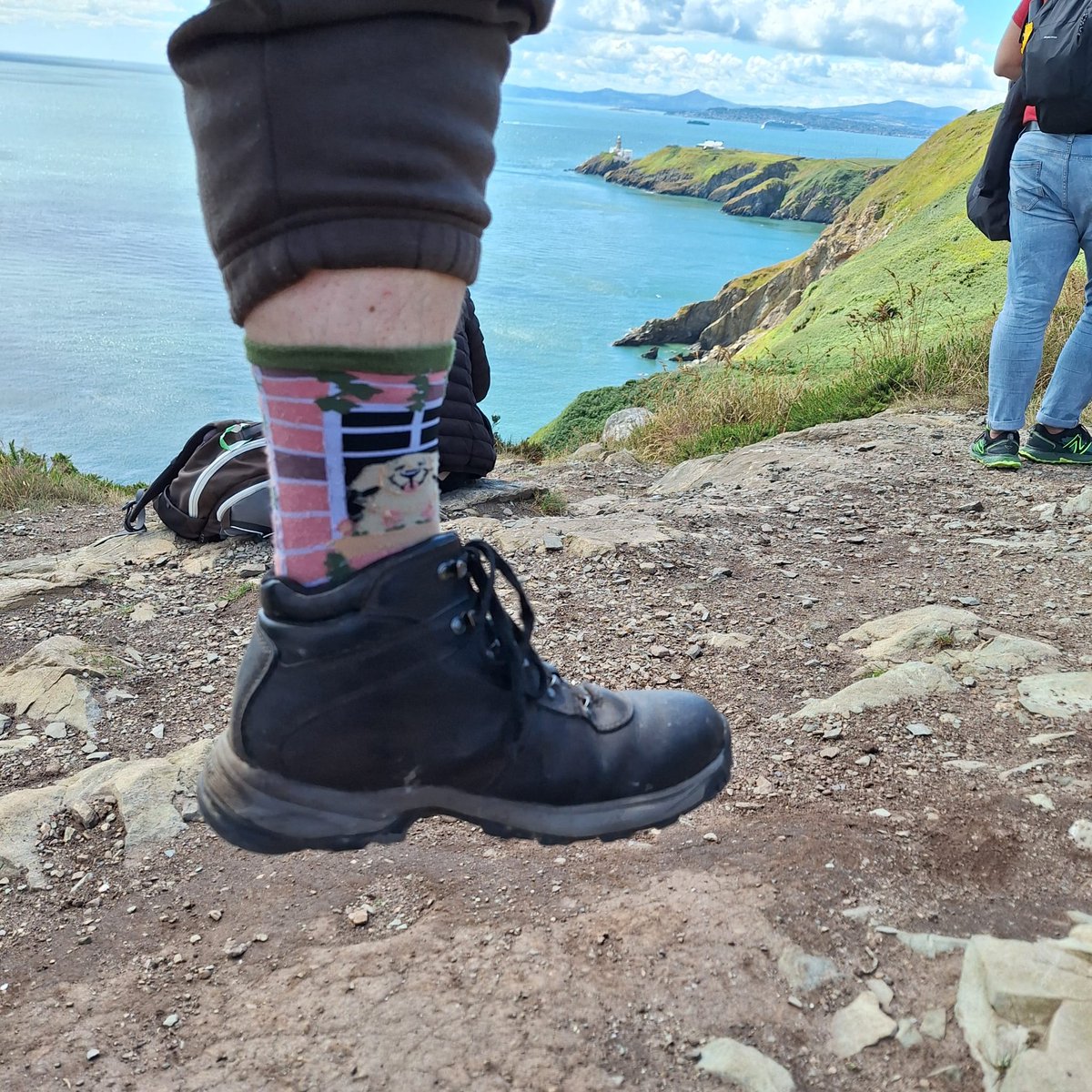 distantexanfan's tweet image. Checking in with #rockyoursocks from Howth, Dublin! @hankgreen @johngreen #awesomesocksclub #Howth