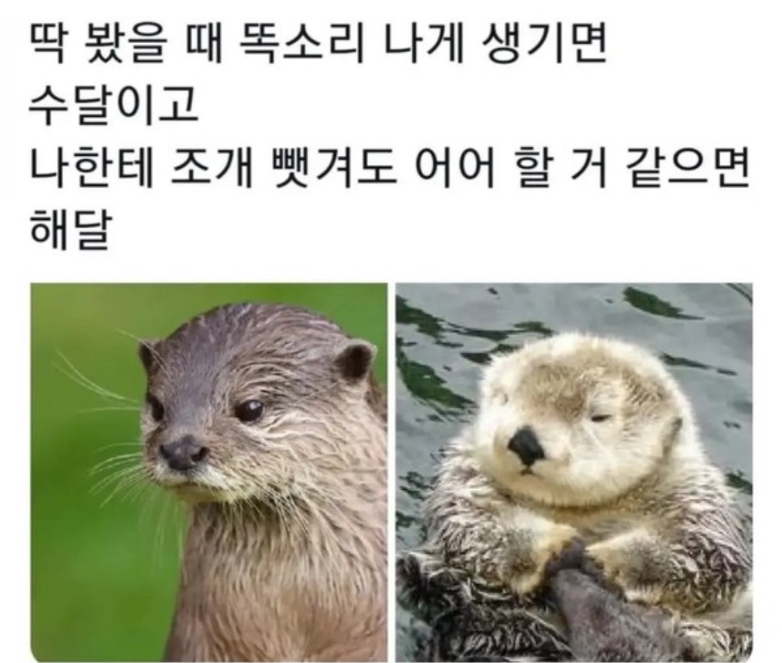 zlgaylz's tweet photo. https://t.co/ybuB5tPLYj