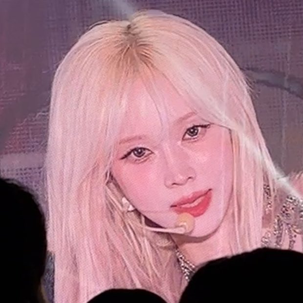 지지 tweet media