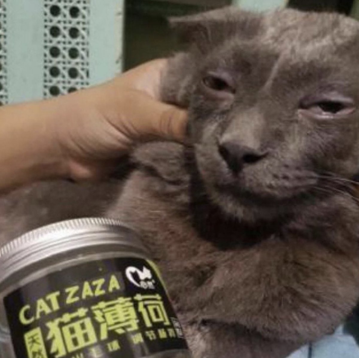 insane poses (@insaneposes) on Twitter photo 