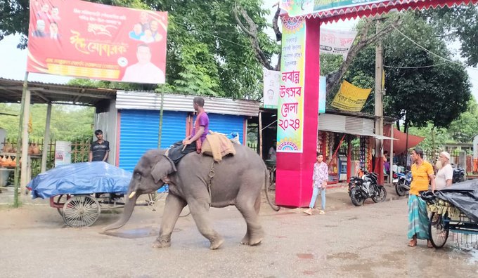 শুঁড় উঁচিয়ে হাতির সালাম, দিতে হয় চাঁদা