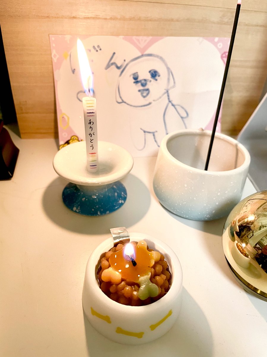 bonpoo's tweet photo. 今日は7月6日。
ぼんの一周忌です。

昨年葬儀をして頂いたお寺にて、一周忌法要をして頂きました。

ぼんが亡くなって丸1年が経ちましたが、一言で言い表すのは難しいです。
遠い昔のように感じることもあれば、昨日のように感じることもあり、どちらも本当の感情です。 https://t.co/MxMzYKNwfQ