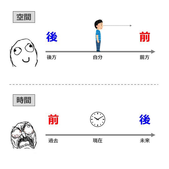 こあたん🇦🇺こあらの学校 tweet media