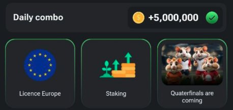capitalcoin11's tweet photo. Today 06/07/2024 #hamterkombat combo https://t.co/2w1cCUQTk9