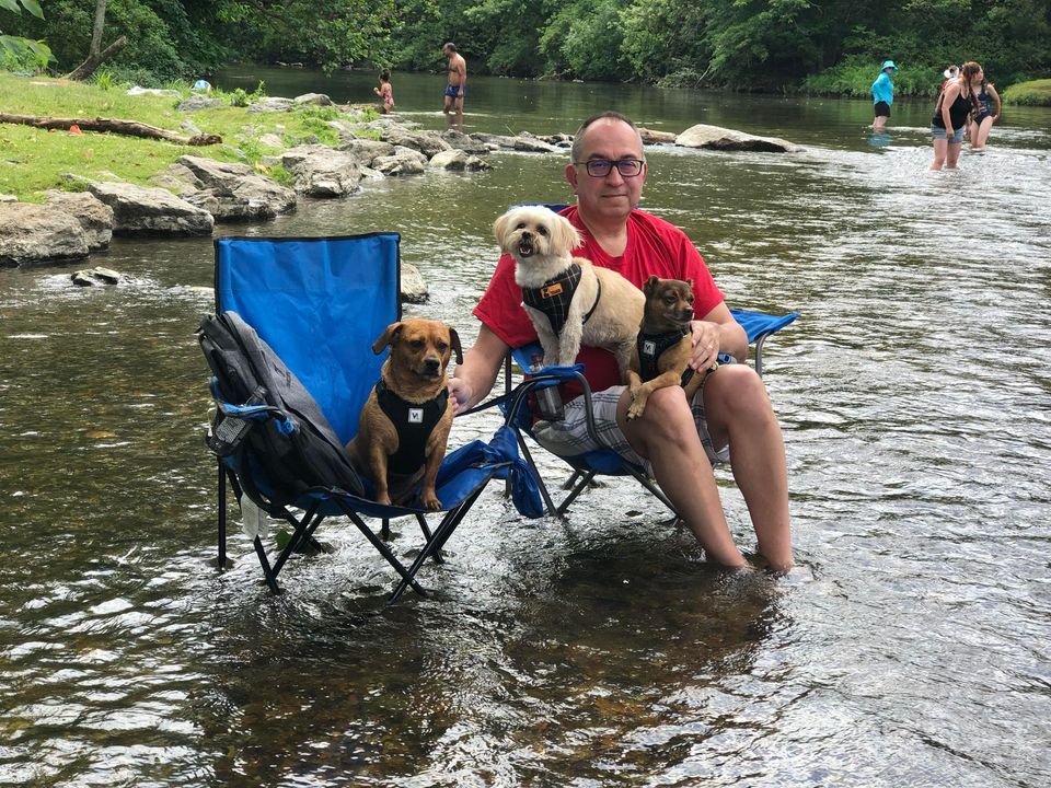 Humane Society HBG tweet media