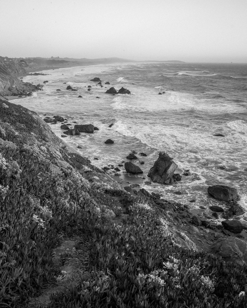 Black &amp; White Sunsets. 
Bodega Bay, CA