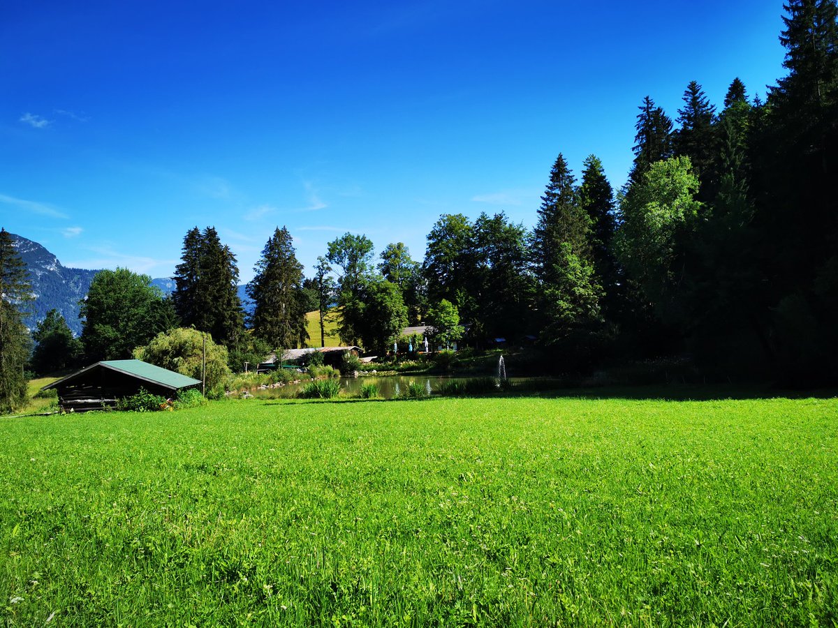 Heike Wagner tweet media