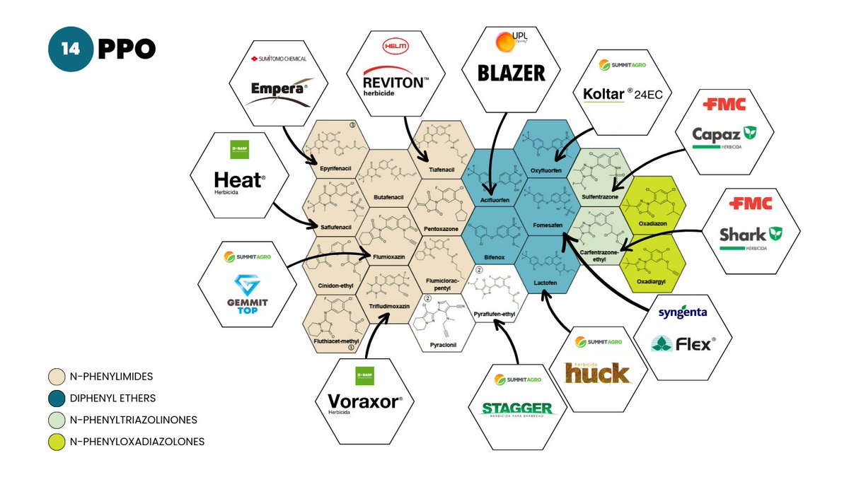faricharly's tweet image. 📦 Herbicidas Grupo 14 - PPO.
Luego del reciente lanzamiento de Empera, algunos productos comerciales en AR de este grupo.