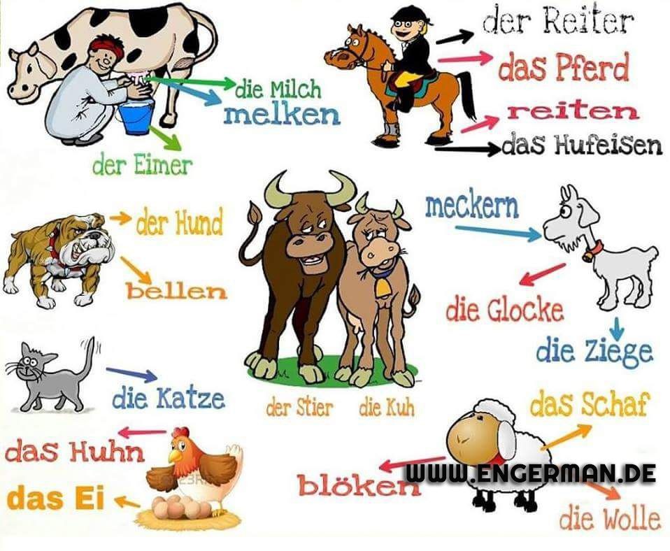 learngermann's tweet photo. https://t.co/K7sDoNGs4i