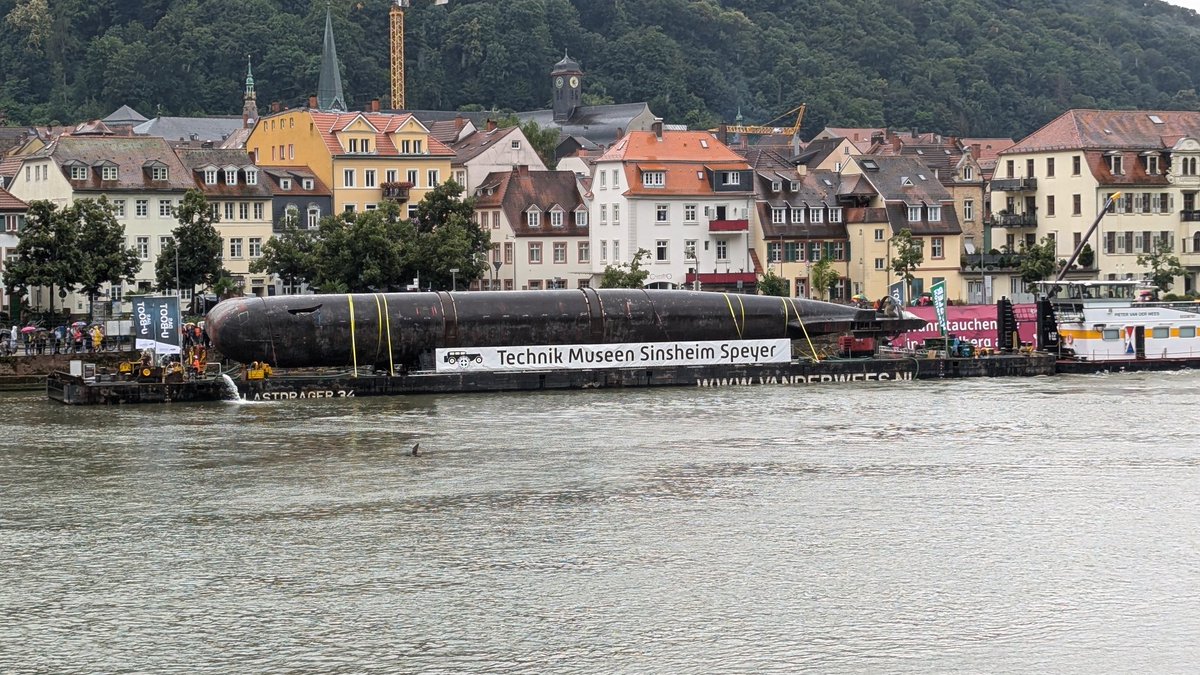 Patrick_Senkrechtstarter tweet media