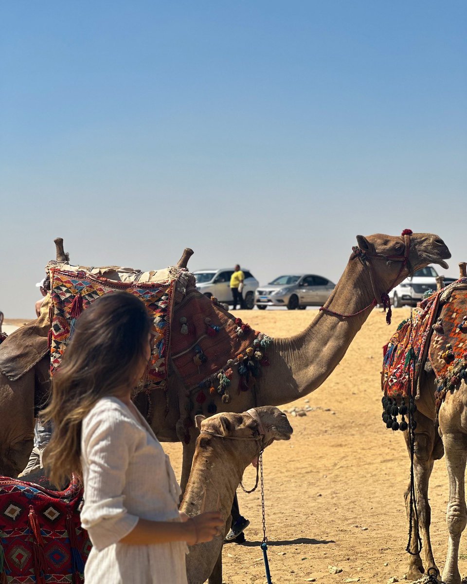 Dünyanın yedi harikası 1.piramidler ✅