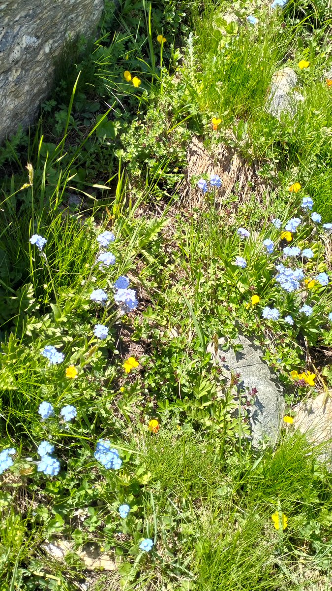 Cale/Gallagher (Kate) tweet media