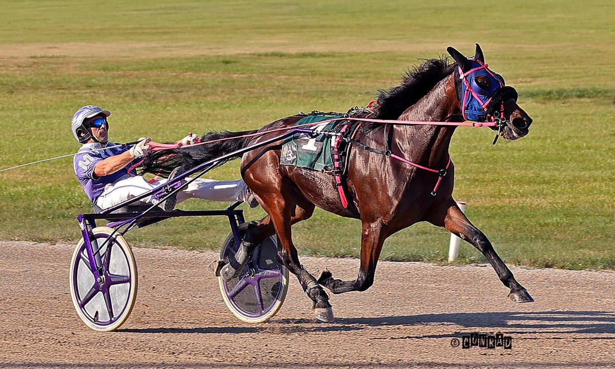 Hats off to ‘Hattie’

She has been called “Bratty Hattie.” She has been called “The Freak.” But most significant of all, Jurassic Hattie has been called a blessing.
harnessracing.com/#InTheNews

<a href="/HarnessKenW/">Ken Weingartner</a> <a href="/SciotoRacing/">Scioto Downs Racing</a> <a href="/USTrotting/">U.S. Trotting Assn.</a> 

Conrad Photo

#harnessracing