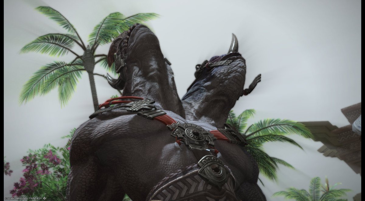 bakooljaja's tweet image. bakool ja ja when i give him the bakool job job if you know what i m