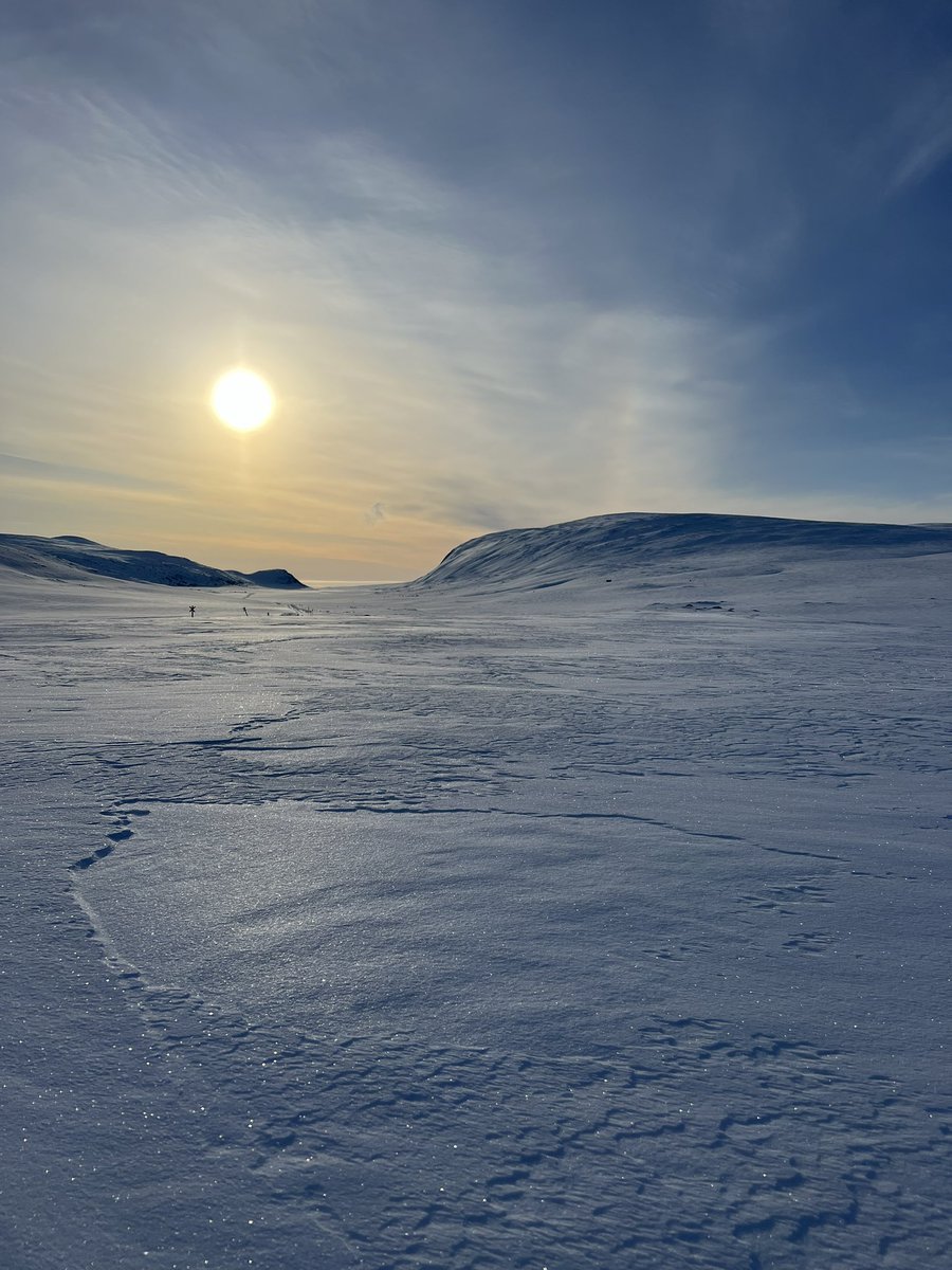 Toiset upeat neljä vuodenaikaa palveltu Lapin jääkäripataljoonassa.

”Oi, oppi ottakaatte joutsenista!
Ne lähtee syksyin, palaa keväisin.
On meidän rannoillamme rauhallista
ja turvaisa on rinne tunturin.”

Hyvää Eino Leinon, runon ja suven päivää!

#JPR #LAPJP