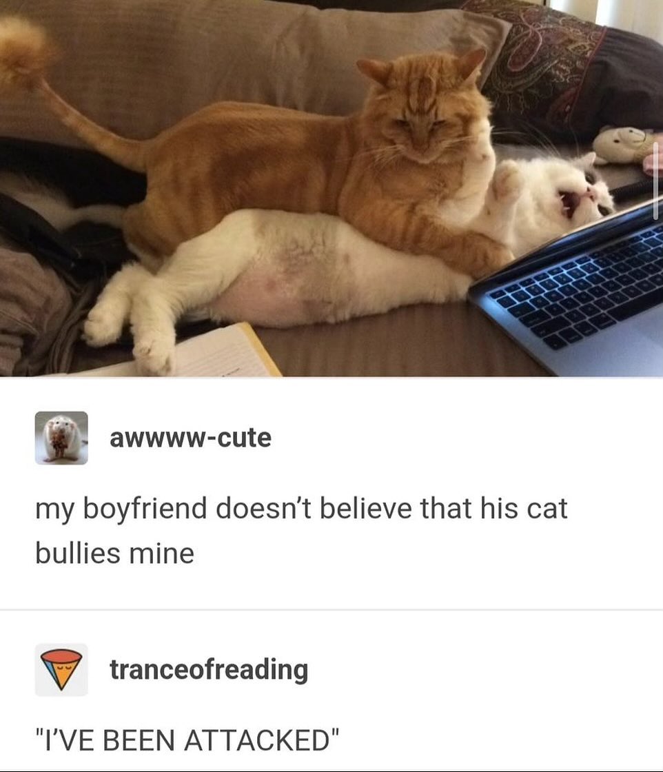 GRzlEPnWMAA6t5t
