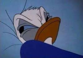 Mike Salvatore tweet media