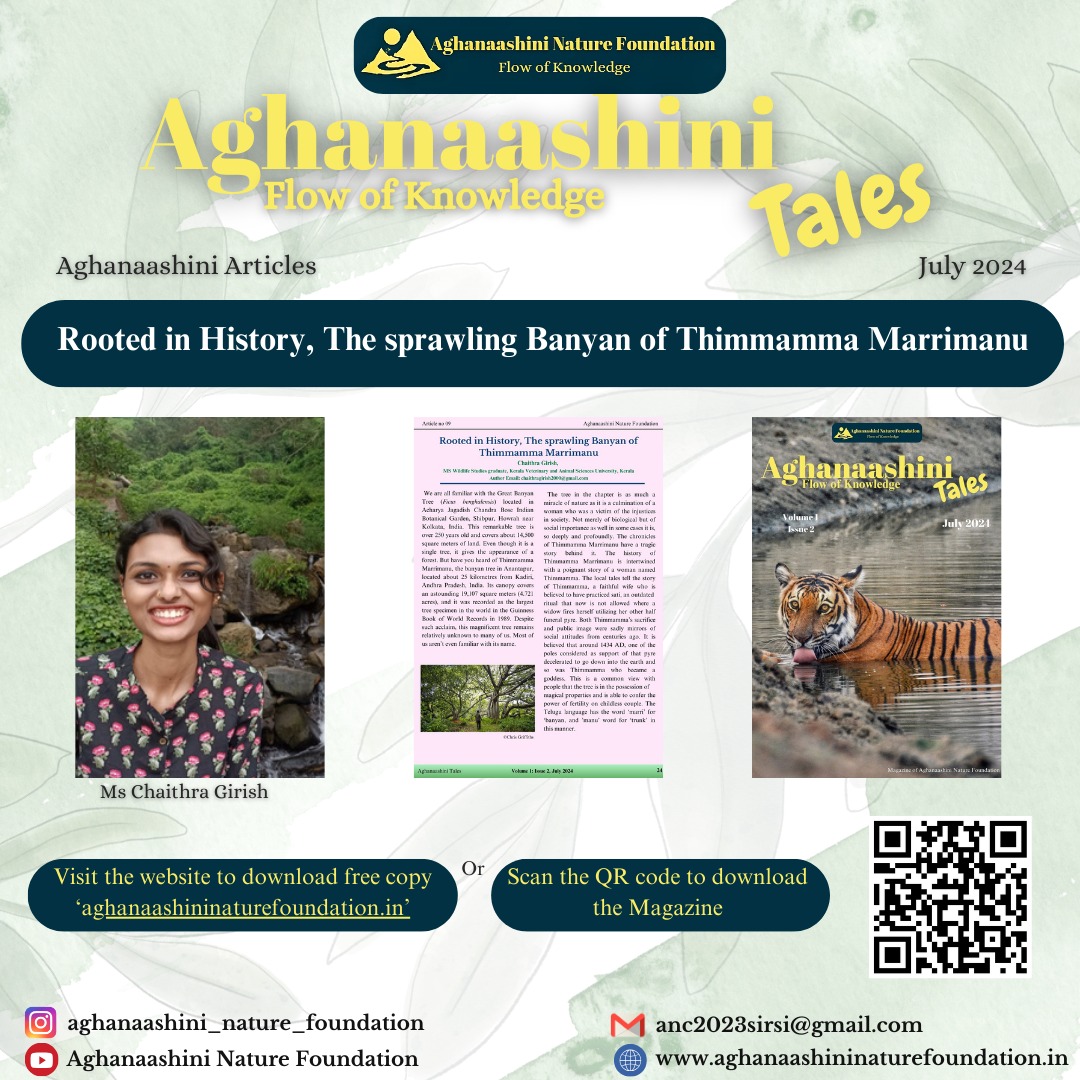 Uncover the hidden gem of Thimmamma Marrimanu, the world's largest tree (Guinness World Record, 1989).

 Despite its fame, it's still unknown to many.

#Nature #Botany #conservation #awareness