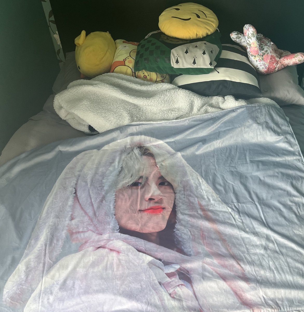 johfzen's tweet photo. just made a nest for me and hami #omegacore #lovemyalpha https://t.co/Ys9qz2As7W