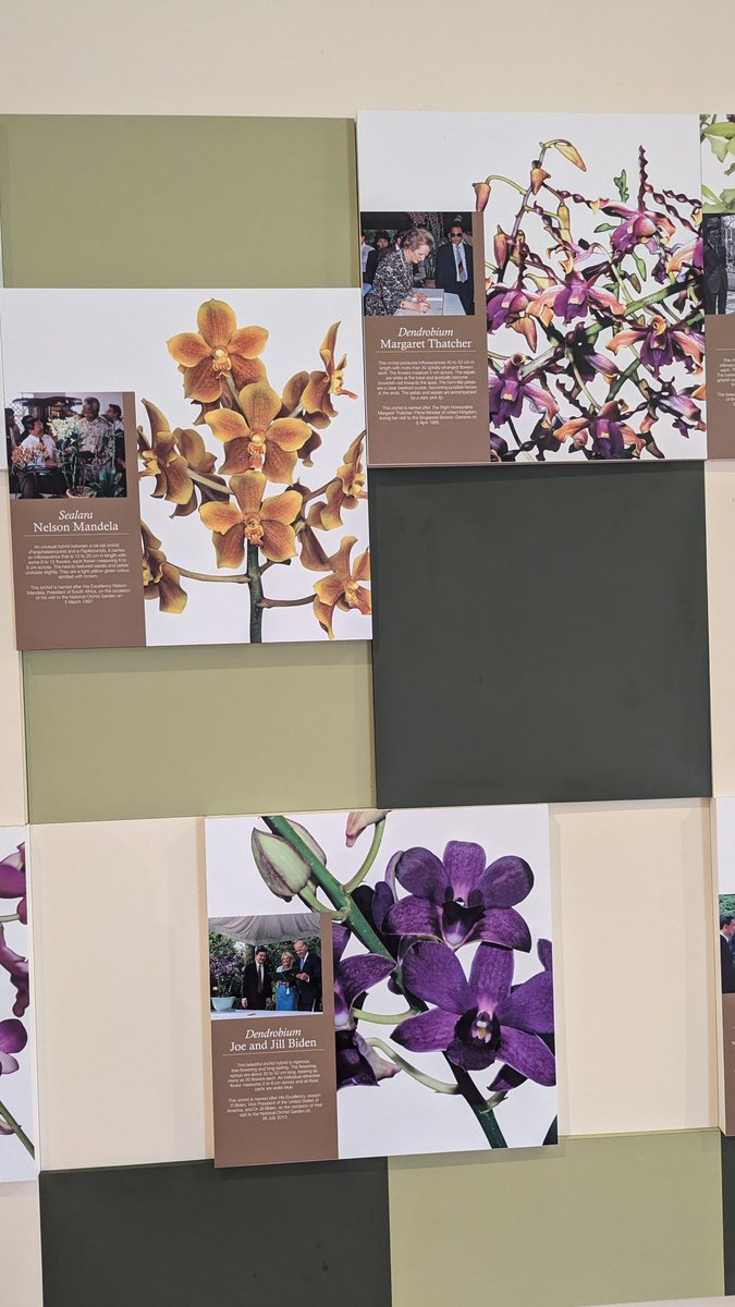 Sam Jaques tweet media