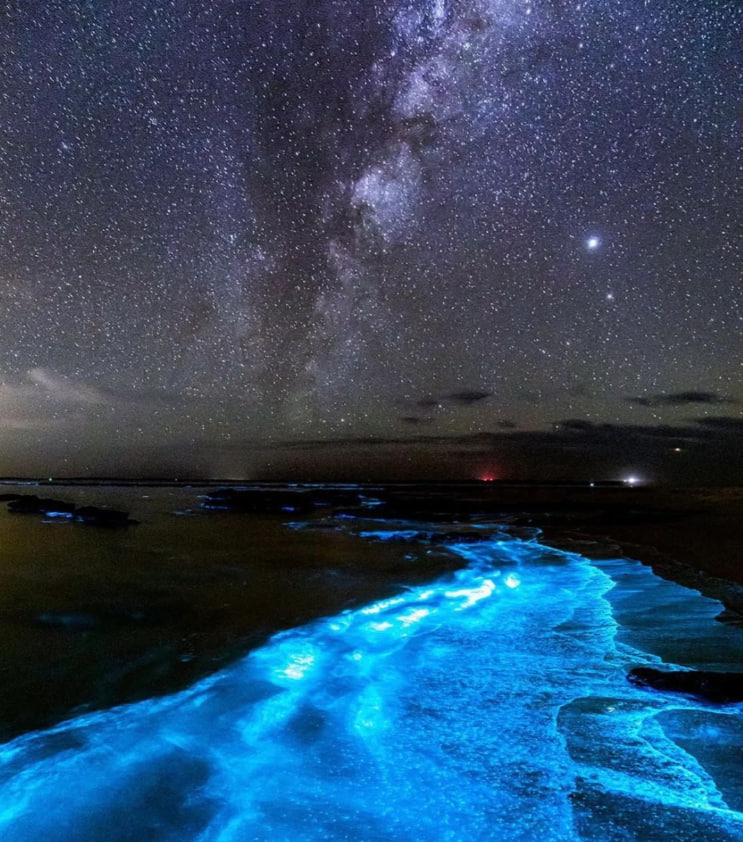 夜の下に青い涙が星のように落ちる🌊