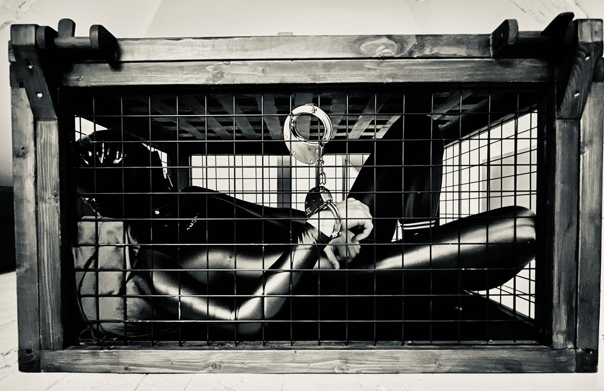 ⛓️Rain time …🔒🌧️

<a href="/pupp_milou/">Milou 🩷</a>