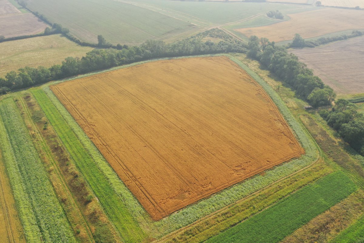 The Allerton Project tweet media