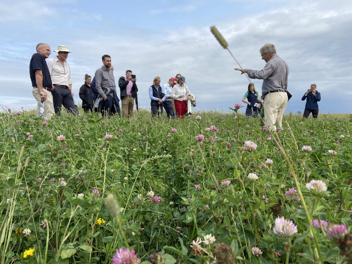We're recruiting! 

We're looking for a farm manager to join the team on our working research &amp; development farm in Leicestershire. Want to work on the cutting edge of nature &amp; environmentally friendly farming? 

Jobs | The Allerton Project - allertontrust.org.uk/staff/jobs/