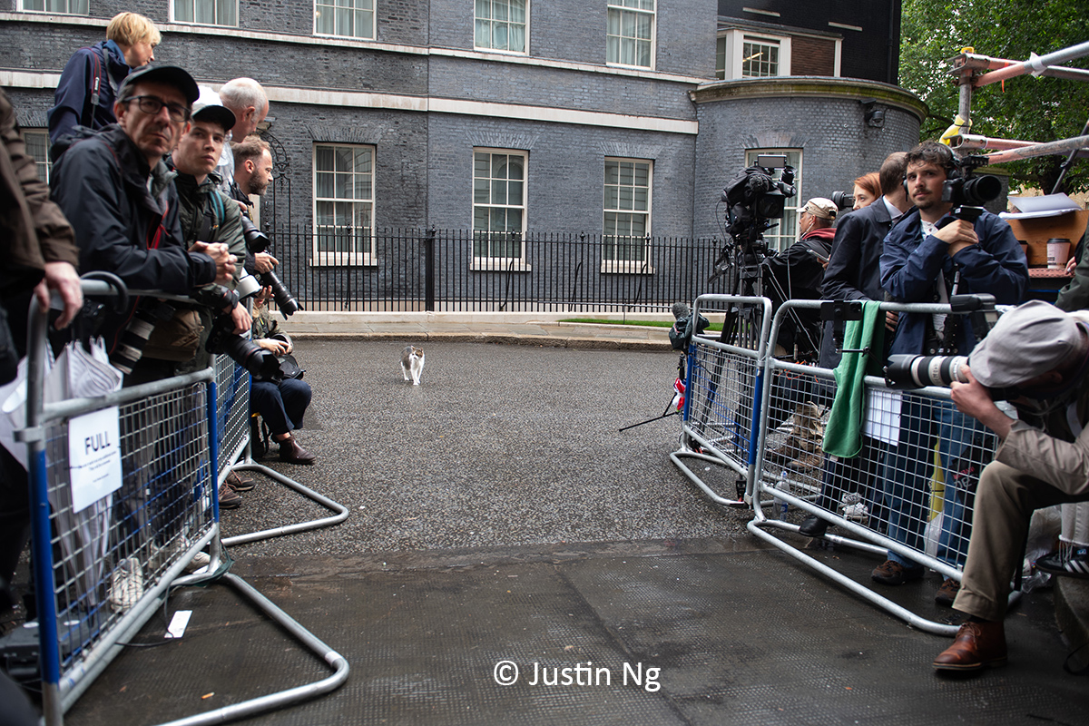 Justin Ng tweet media