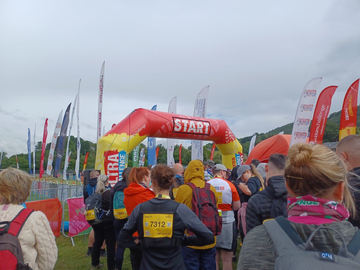 paula black tweet media